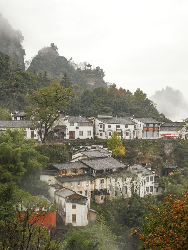 11月旅行｜這趟纜車把我帶去了雲海仙境~