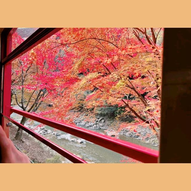 京都嵐山小火車，秋色美不勝收