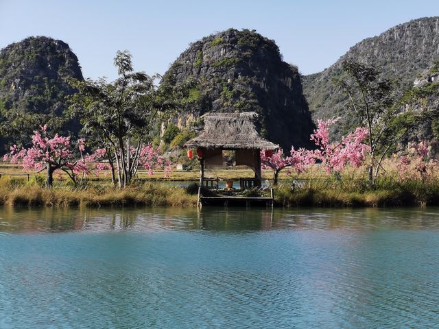 三生三世十里桃花