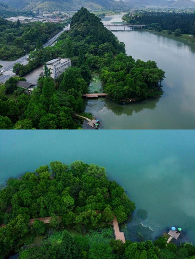 絕美綠竹桃園，杭州安吉民宿之夢幻之地
