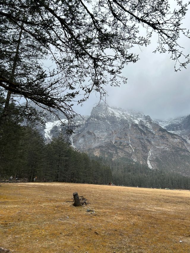 雲南麗江古城五天旅遊攻略