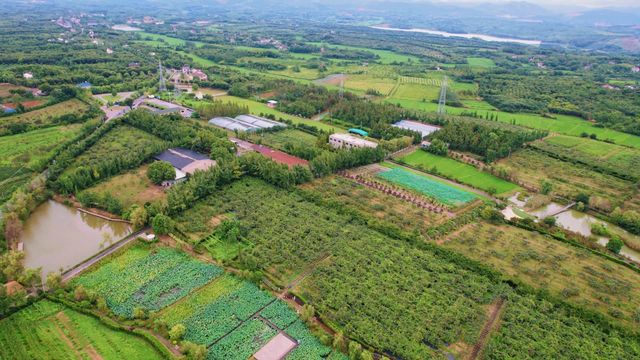 菁菁莊園丨“宣”為人知,聞“蜂”而動