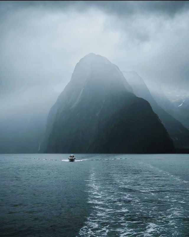 新西蘭～米爾福德灣峽灣
