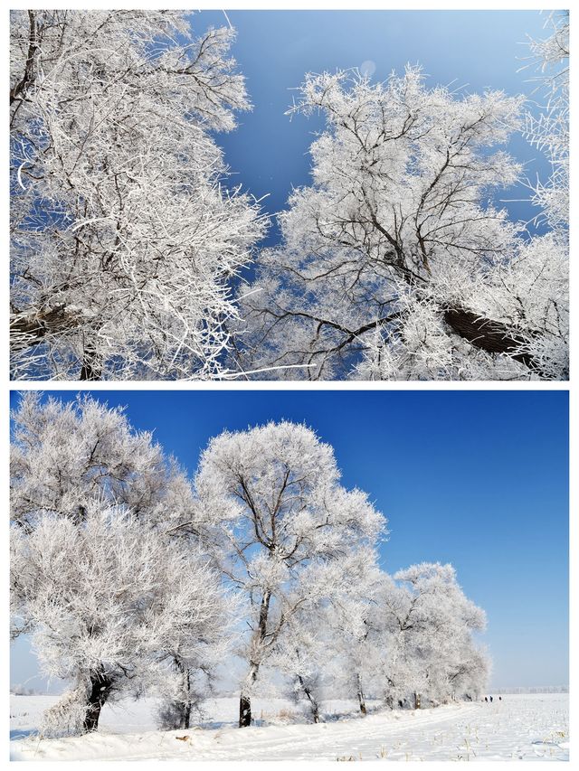 吉林霧凇島，中國四大自然奇觀之一，冬天裡的童話風景
