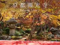 京都景點｜瑞巌山 圓光寺
