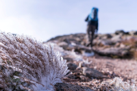 Explore the majestic Cairngorms National Park