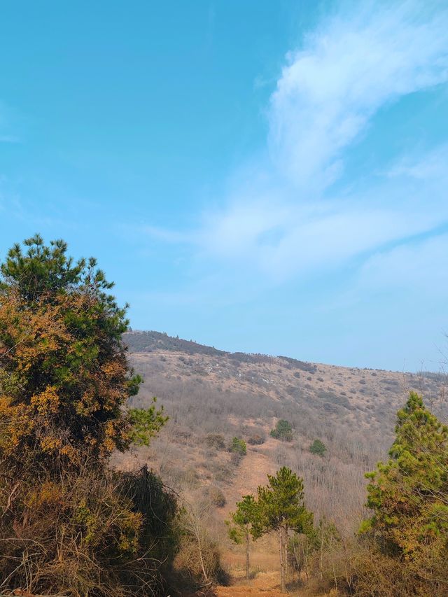 合肥十峰打卡攻略：與好友共赴山野之約，感受野趣橫生的徒步之旅