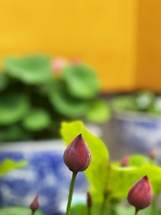 福至心靈