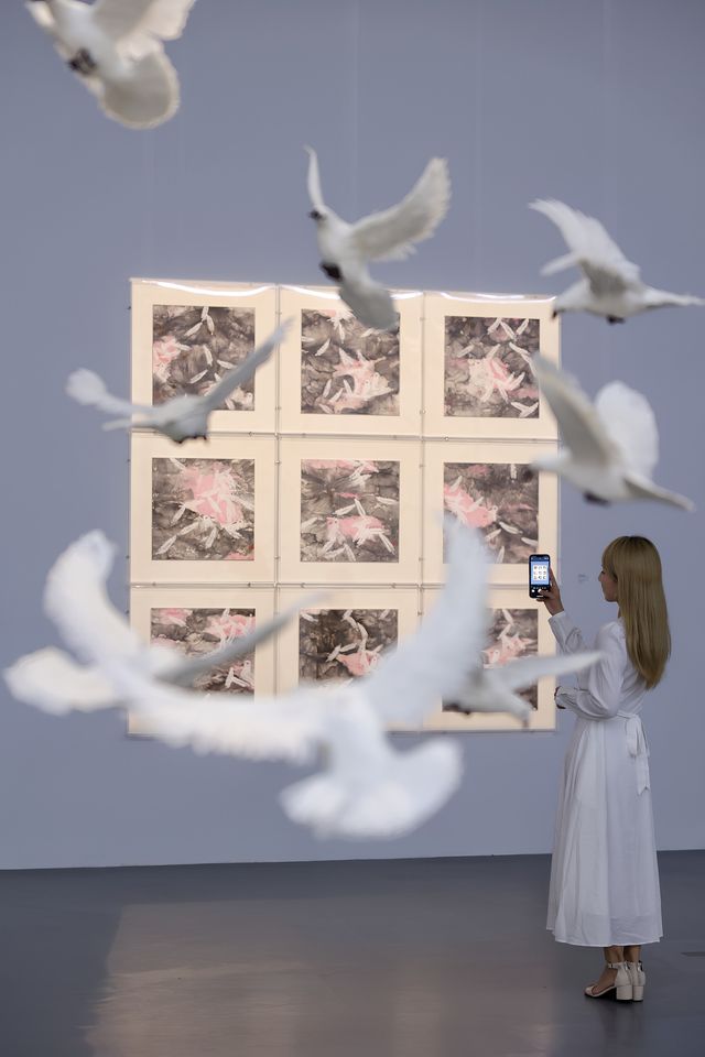 上海8月震撼新展｜上萬隻白鴿包圍的浪漫