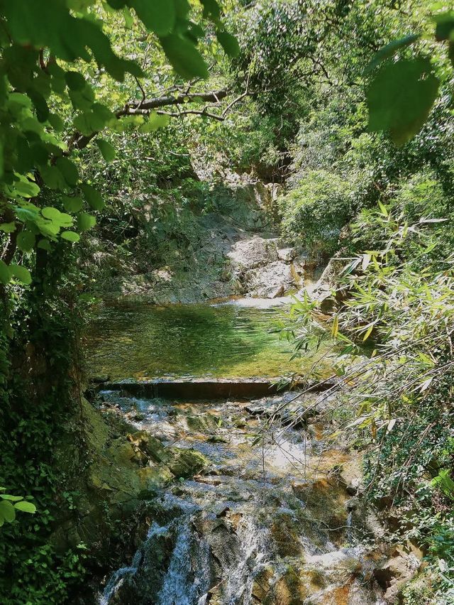 藏不住了佛山綠寶地吸氧玩水太冰爽了