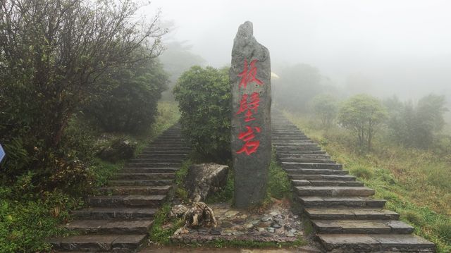 神農架偶遇“野人”