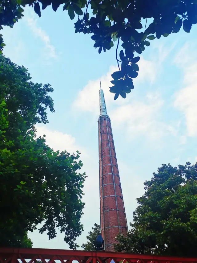 徐家匯公園，藏在喧囂市中心的4A景點