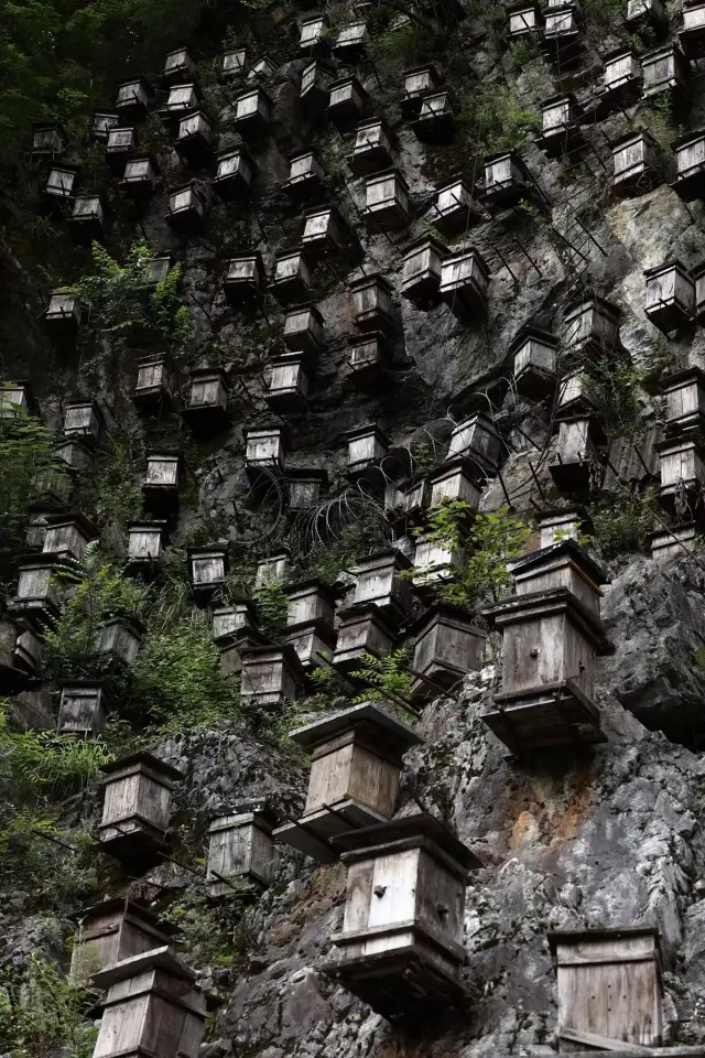 旅行は必ず神農架に行くべきですか？風景は美しく、食事ができます