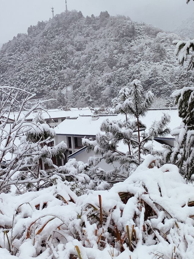 不妨下周來三清山邂逅一場雪吧