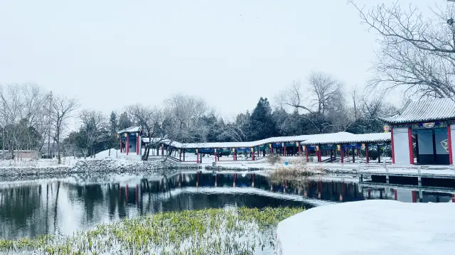 龍亭公園｜雪景