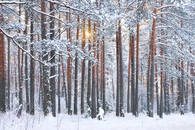 「冰雪奇緣」的現實地：小眾的小興安嶺