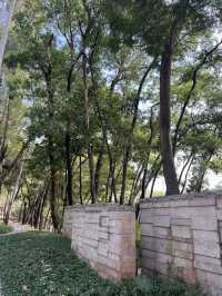 深圳Citywalk：福榮綠道