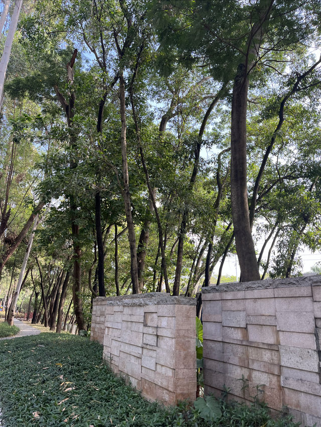深圳Citywalk：福榮綠道