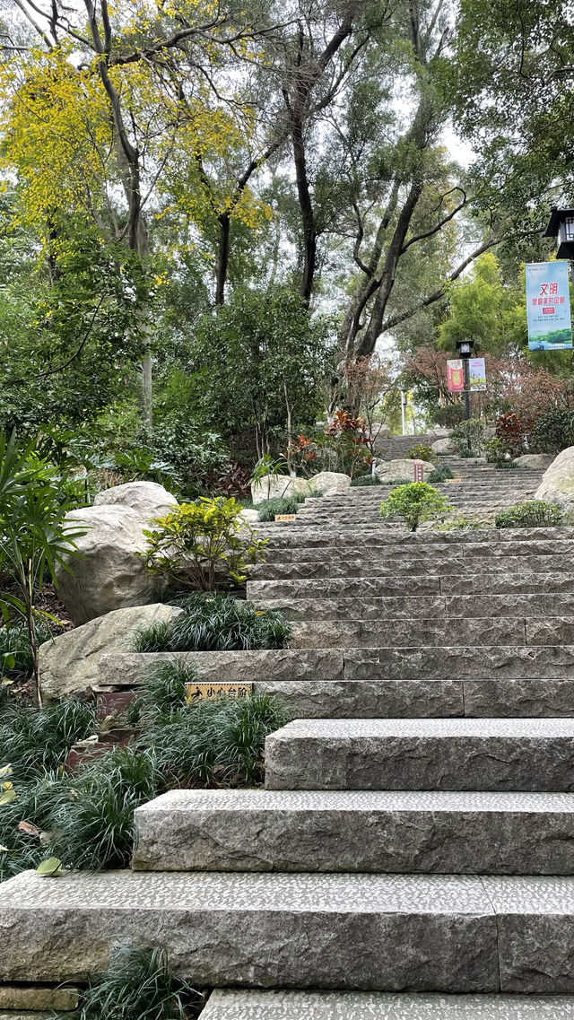 屏山公園賞櫻
