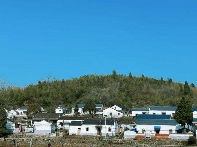 安徽銅陵｜免門票小眾景點，我不允許你還知道！