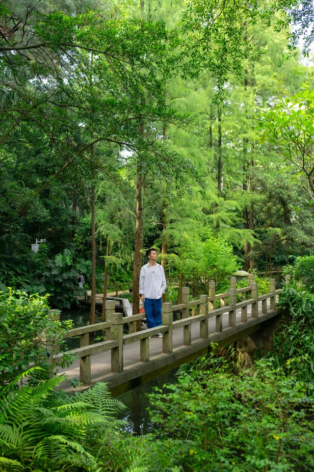不是蘇州林園，是藏在廣州的蘭圃公園！