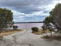 澳洲遊記3-超多蟲子鵝粉紅粉紅的粉紅湖