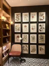 深圳美學書吧 復古有腔調的後海木棉花