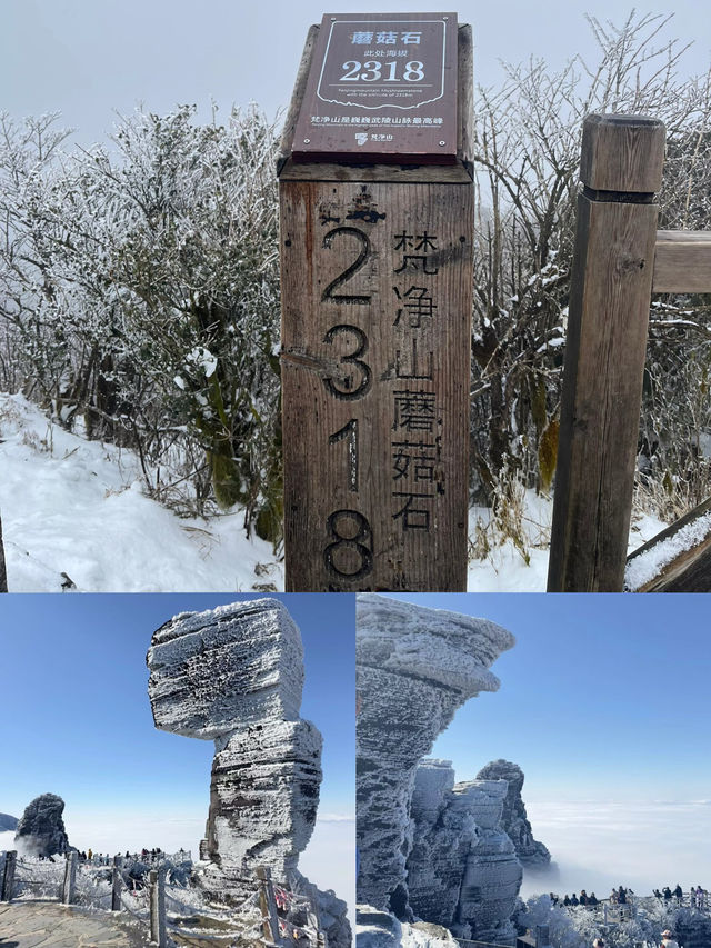 梵淨山的冬天||被雪覆蓋的天空之城