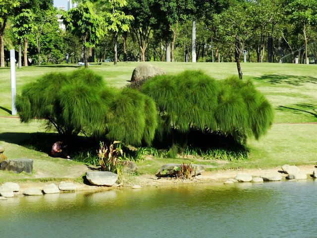 深圳香蜜湖公園