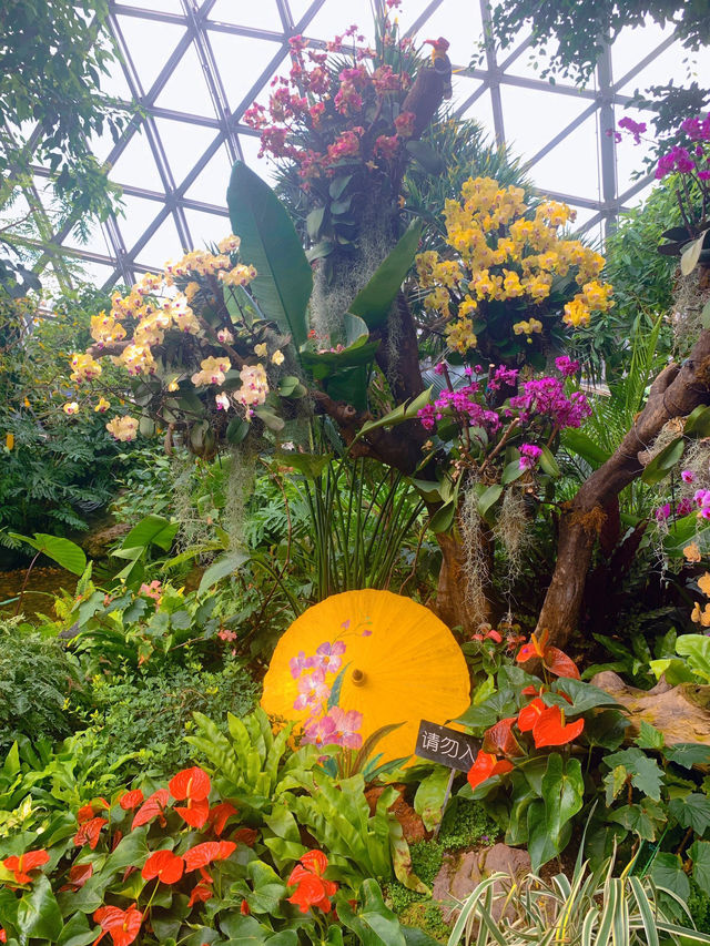 一定要去的植物園