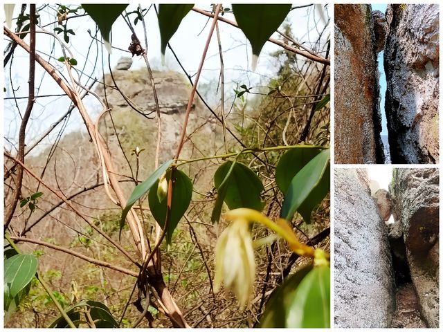 艱辛的登山徒步行—新昌百丈岩景區之旅