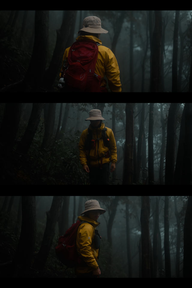 徒步中發現《迷霧森林》  拍出電影感大片