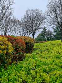 徐州滨湖公園