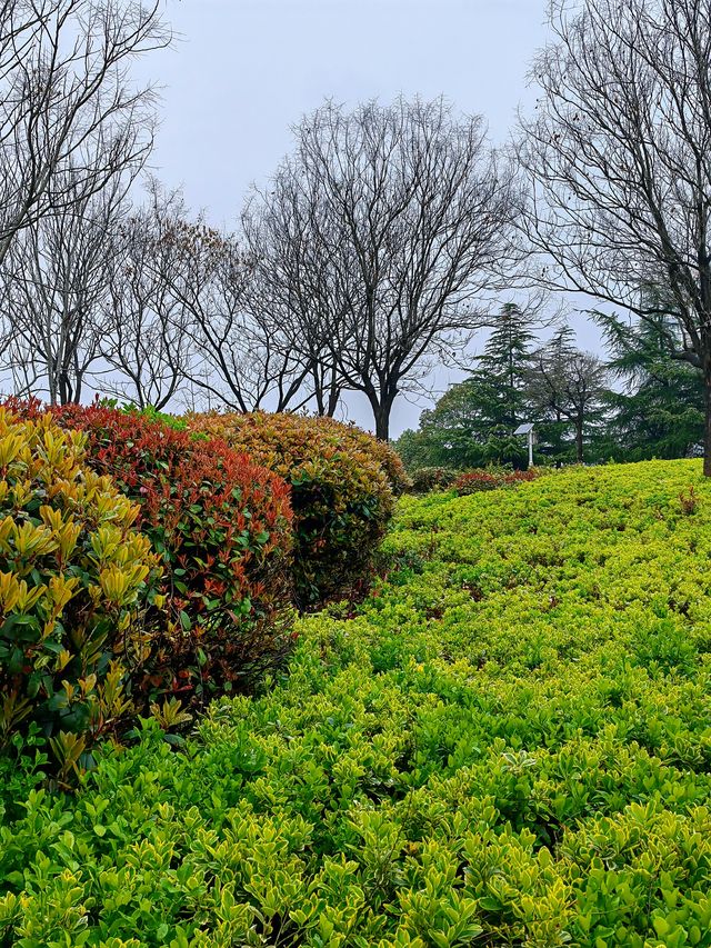 徐州滨湖公園