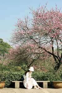 美不勝收，重慶南山植物園打卡攻略