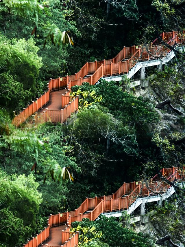 漁村裡的隱世公園—深圳煙墩山公園