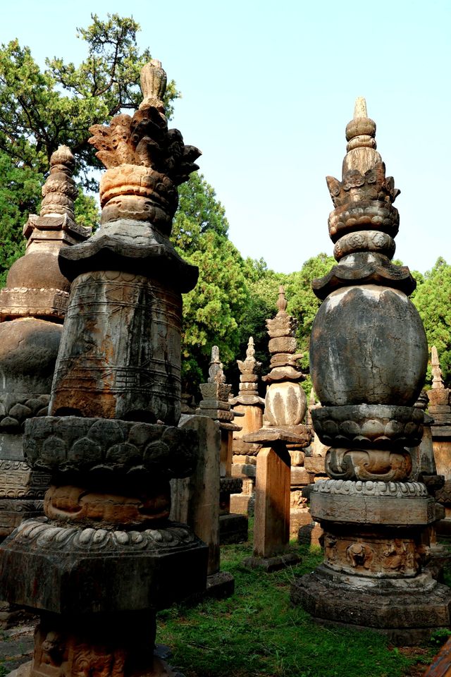 唐宋元明清，石塔博物館|靈巖寺墓塔林（965）