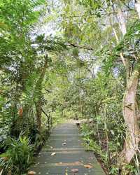觀光新加坡的雙溪布洛濕地天然公園