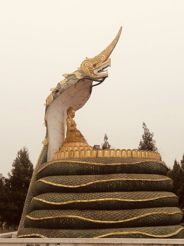 世界上獨有無二的「白馬寺」