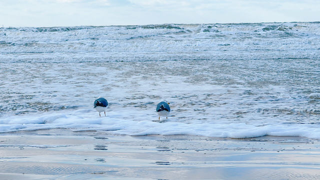 威海｜葡萄滩海水浴場｜北極圈威海分圈