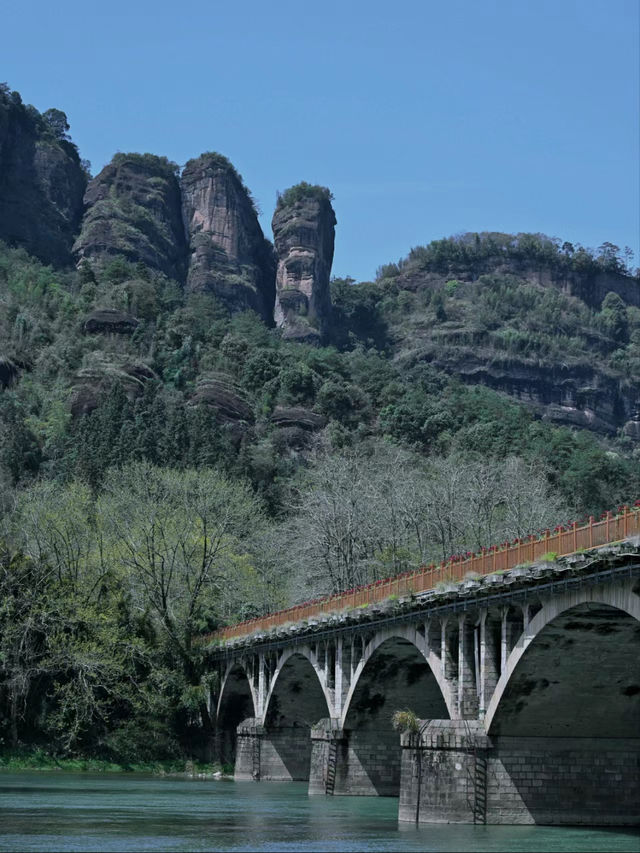 武夷山｜詳細攻略輕鬆暢遊山水間！