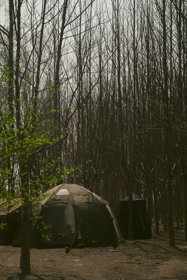 春日露營｜人均不過百的營地竟然很好