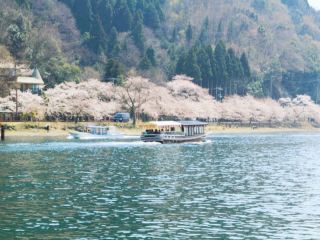 Kaizu Osaki Sakura Breeze