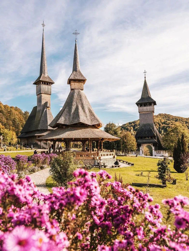 Blossom 🌸 splendor 🇷🇴🇬🇧🏴🇨🇿