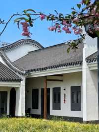 在這個有風的季節,去一次崇明島吧吧!