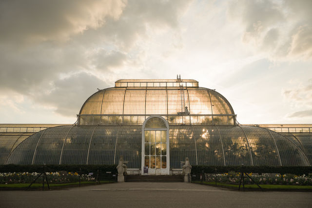 英國皇家植物園Kew Garden 邱園 溫室裡照進一束光