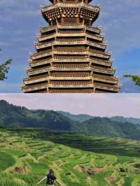 滿山的映山紅，我見到了苗寨另一種精彩～