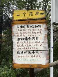 南京去哪兒｜集科普和觀賞於一身的紅山森林動物園