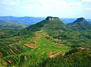 The Most Beautiful Countryside in North of the Yangtze River | The peaches are ripening, if you want some, please DM me