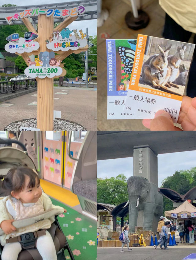 Visited Tama Zoological Park 🇯🇵